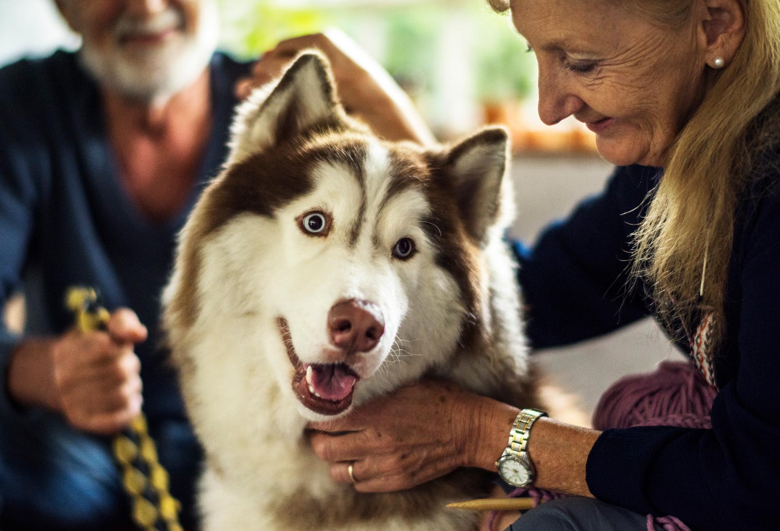 Casa di riposo Imperia - pet therapy